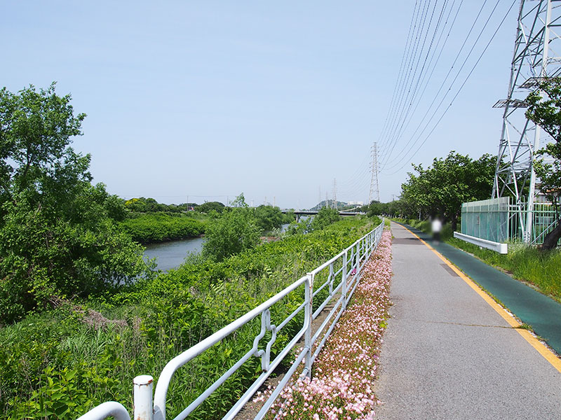 小糸川遊歩道